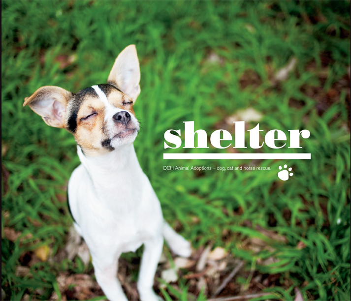 "Shelter" - Coffee Table Book